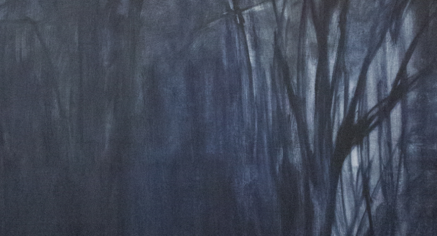 "Ziemia przemieniona" Joanny Dudek