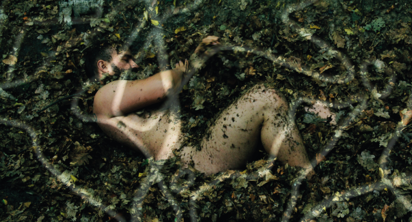 “KORZENIOBYT” Piotr Pasiewicz