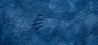 Koncert sensoryczny duetu Światłonoc