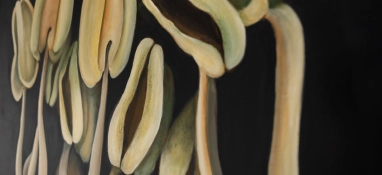 Program edukacyjny do wystawy "Ziemia przemieniona"